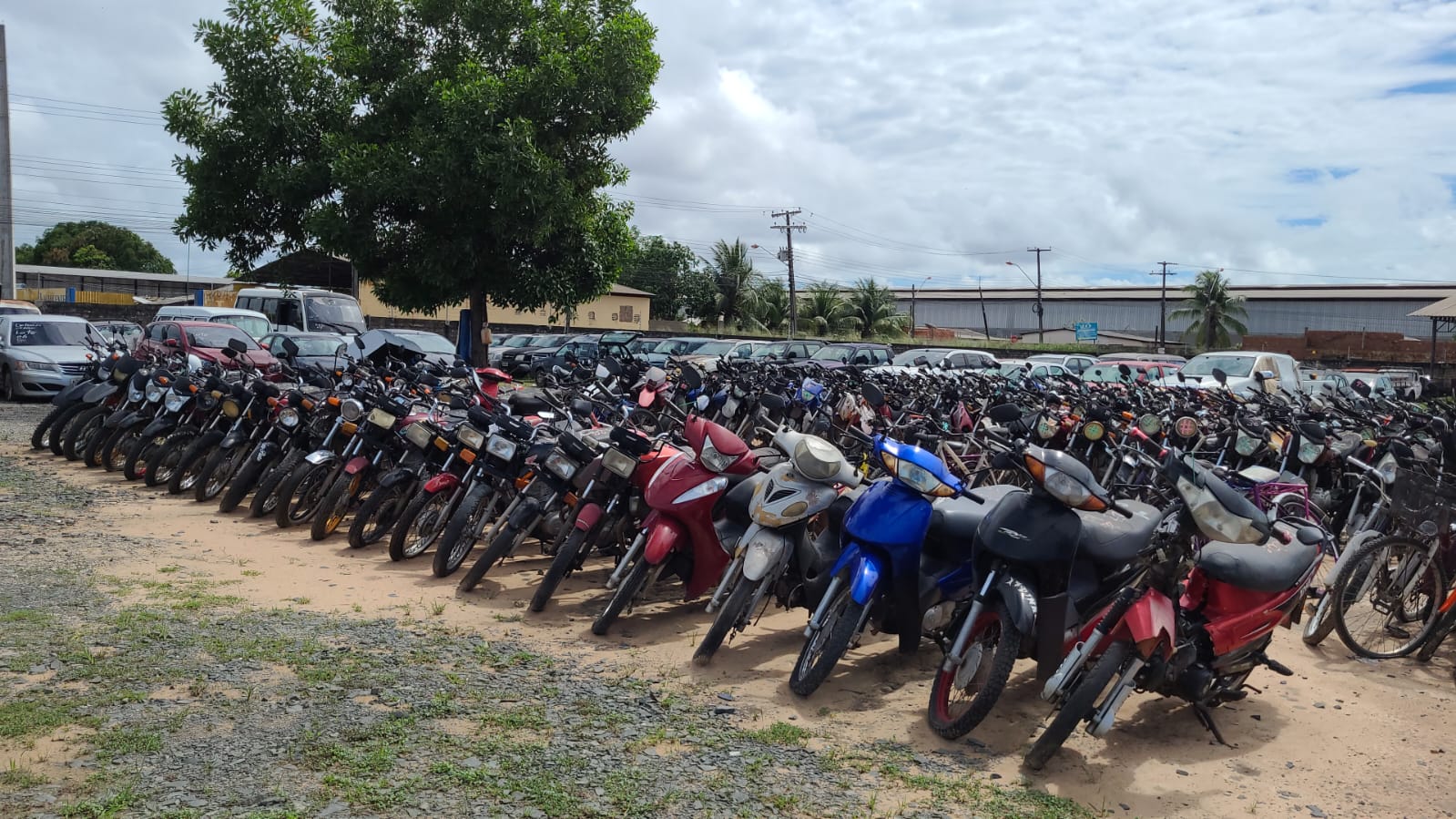 foto colorida mostra diversas motos de diversas marcas enfileiradas em um pátio aberto com chão de terra. Na imagem também aparecem ao fundo carros, micro-ônibus, árvores e casas.
