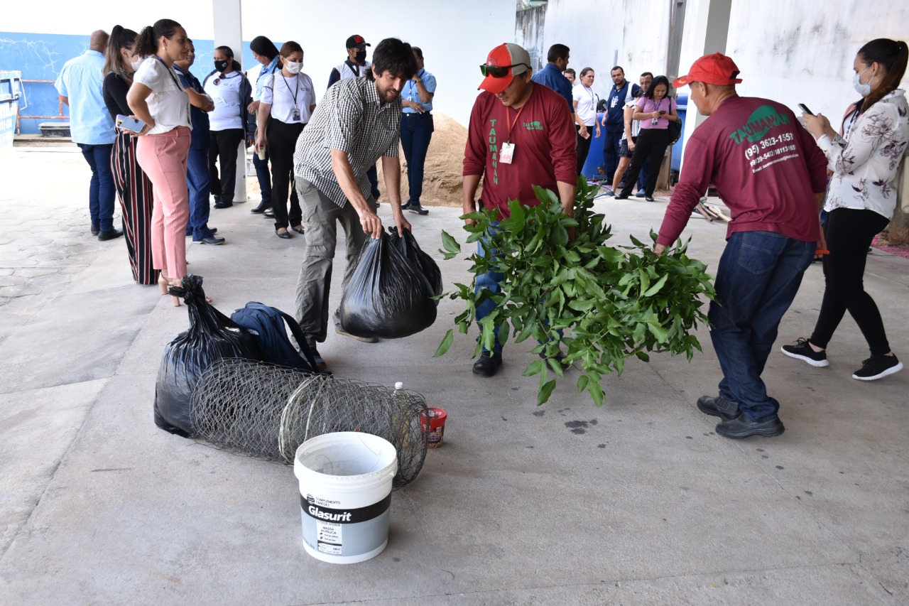 Imagem colorida contém servidores do Judiciário, durante curso de compostagem na Sede Administrativa do TJRR, ao lado do estacionamento, área externa. 