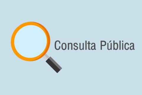 Imagem mostra uma lupa e a frase: Consulta Pública.