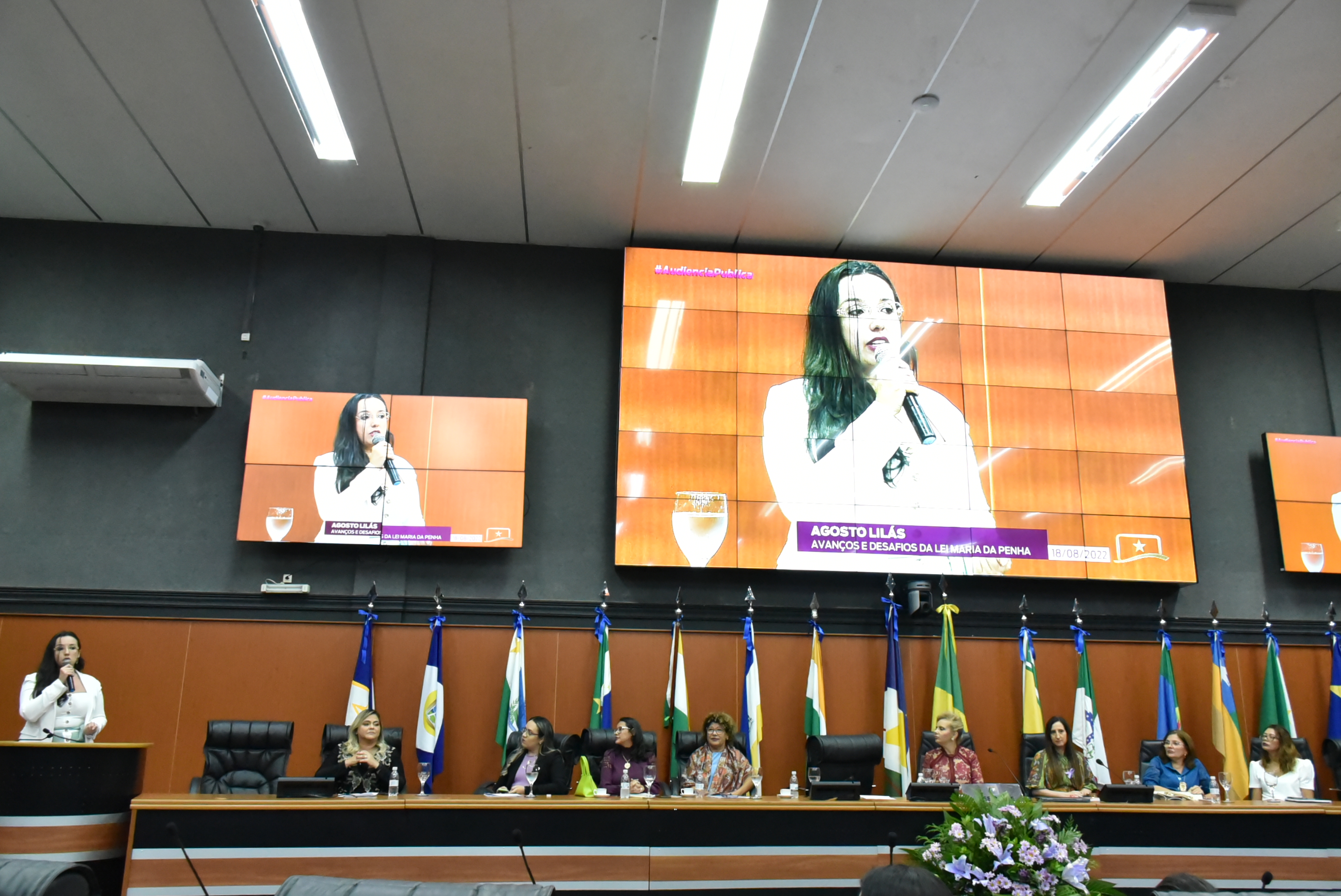 Imagem colorida da juíza Suelen Alves,  falando ao microfone na audiência pública na Assembléia Legislativa de Roraima (ALE-RR). Ao fundo dela, encontra-se três telões da transmissão da fala da juíza. 
