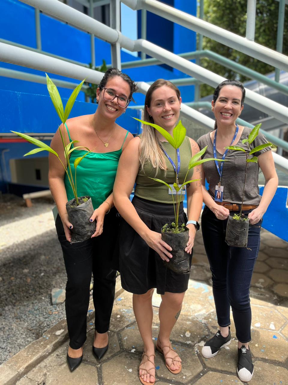 Imagem colorida mostra 3 mulheres segurando mudas de plantas