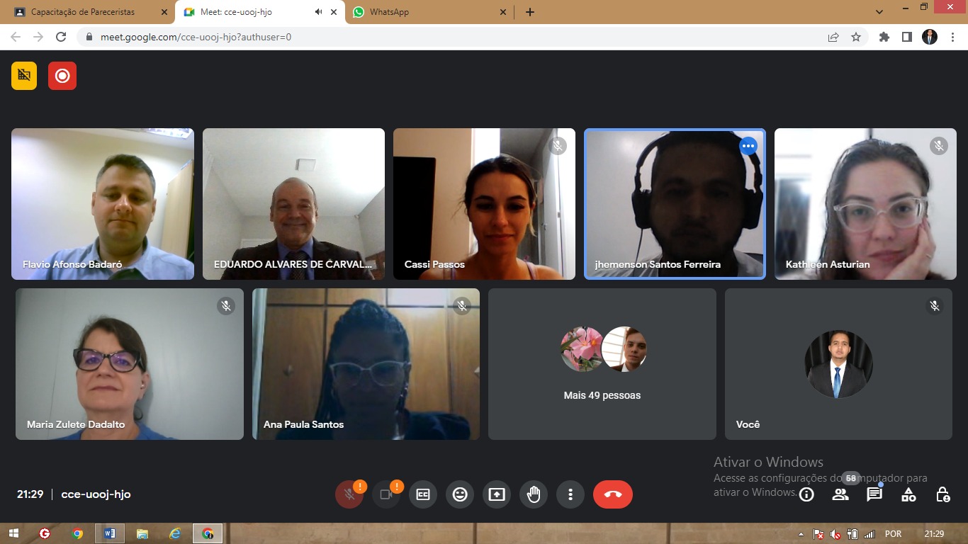 foto colorida do print de uma reunião online