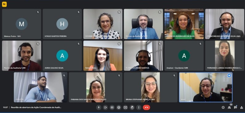Captura de tela mostra os participantes da reunião virtual Comitê de Auditoria Interna da Política de Prevenção e Enfrentamento do Assédio e da Discriminação. Ao todo, 12 pessoas mostram o rosto no print. Os outros participantes estão com a câmera desligada.
