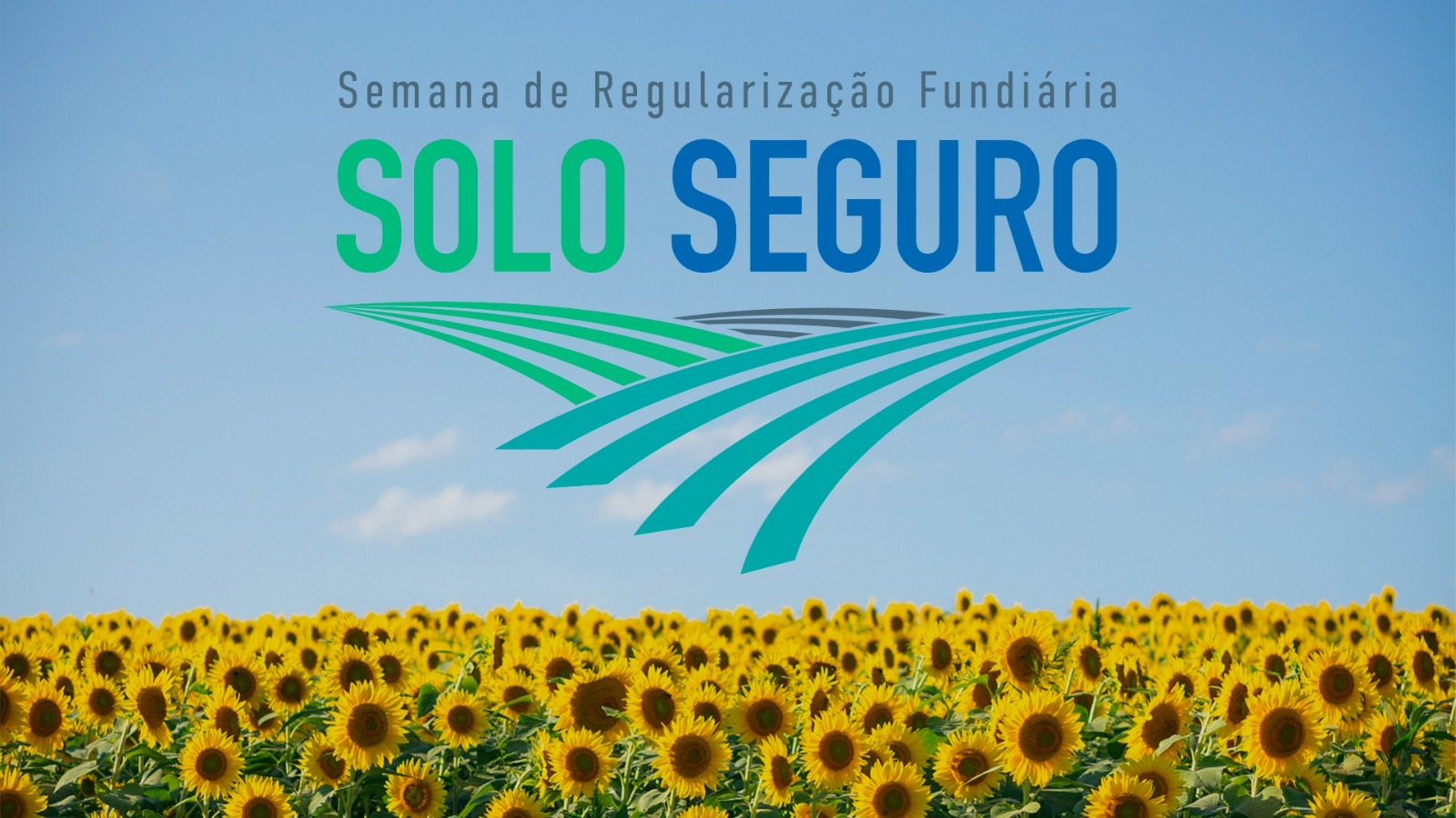 Card de divulgação do Solo Seguro. A imagem é composta por um campo de girassóis e céu azul, nela também contém o letreiro “Solo’’ em cor verde e “Seguro” em azul e ao canto tem “Simpósio sobre Regularização Fundiária” e a data “1 de setembro de 2023” ambos em cor azul.