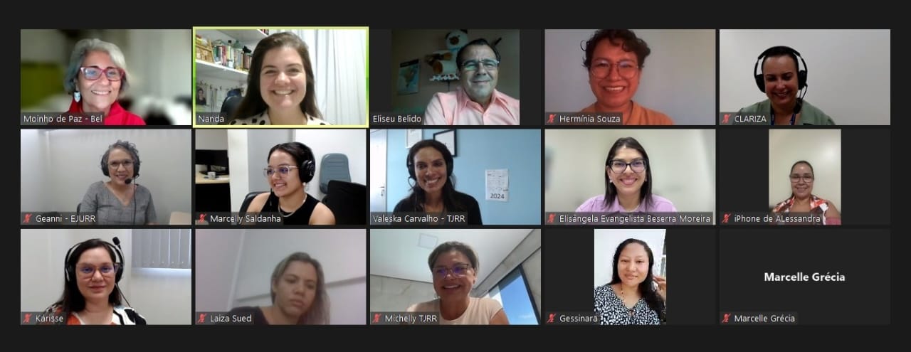 Imagem colorida de um print da tela de uma reunião online