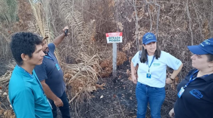 Foto colorida de pessoas conversando. O cenário é mostra um ambiente de mata totalmente queimada ao fundo