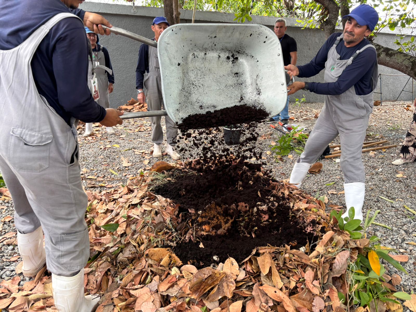 Curso em compostagem impulsiona ações de descarbonização no TJRR