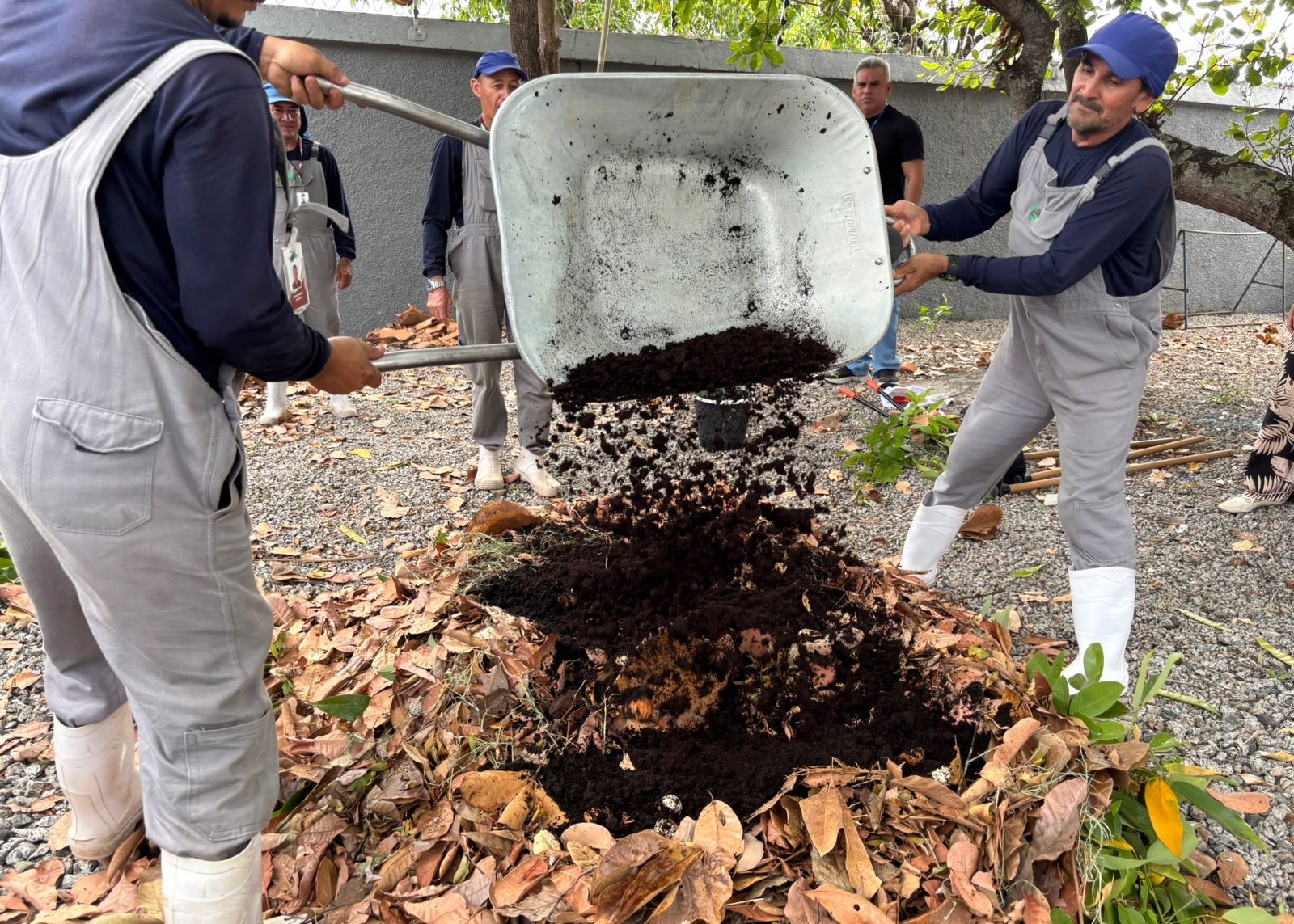 Foto colorida mostra trabalhadores despejando material orgânico de um carrinho de mão sobre uma pilha de folhas secas, durante atividade de compostagem. Outras pessoas acompanham a ação em uma área externa com árvores e chão de cascalho. Foto colorida mostra trabalhadores despejando material orgânico de um carrinho de mão sobre uma pilha de folhas secas, durante atividade de compostagem. Outras pessoas acompanham a ação em uma área externa com árvores e chão de cascalho.