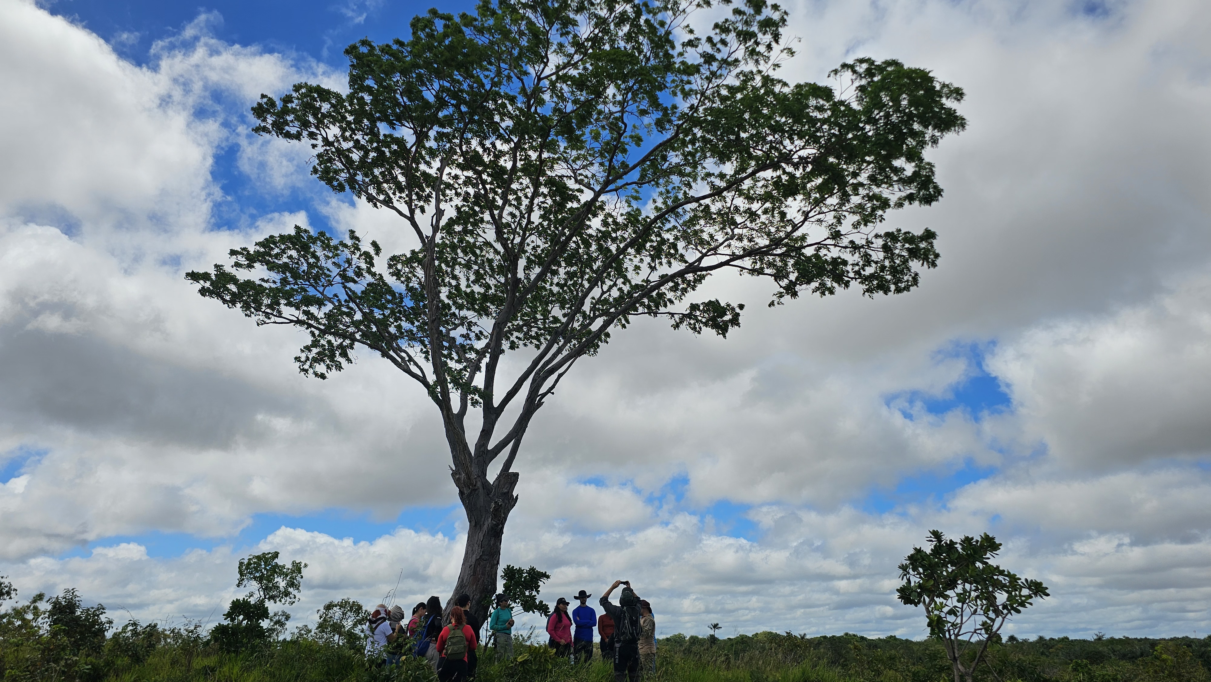 Conexão e aprendizado – Servidores do TJRR vivenciam imersão na natureza durante Trilha Ecológica