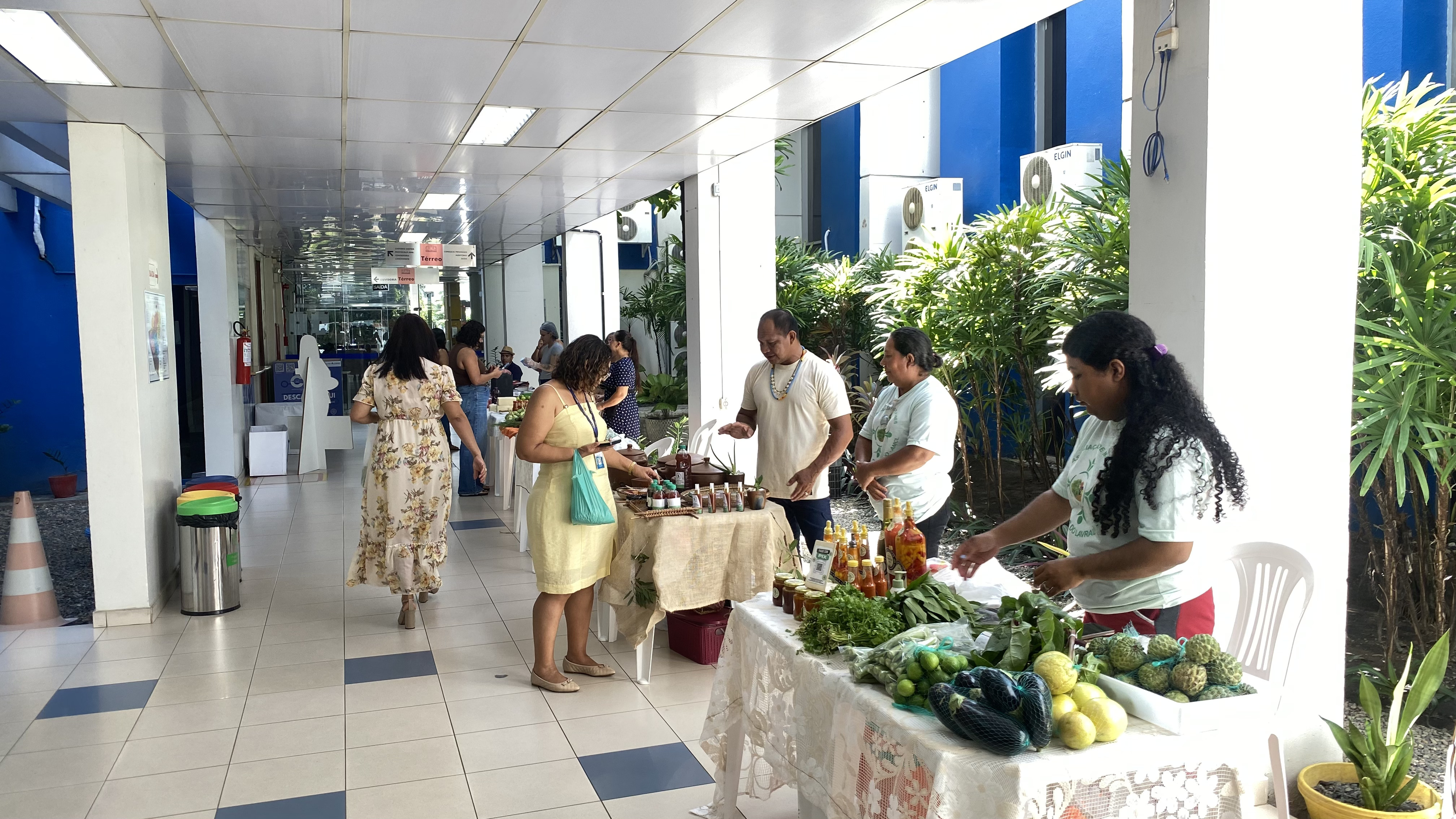 Fórum Cível recebe Feira Orgânica e Indígena