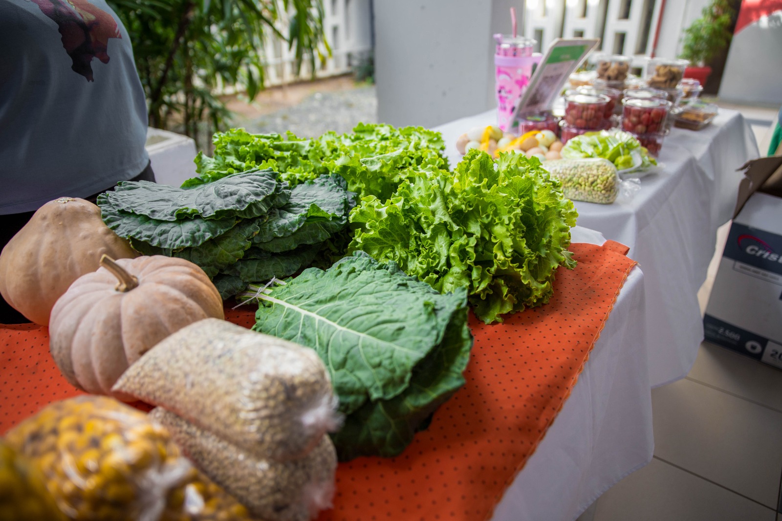 Foto colorida de legumes que estavam a venda na feira