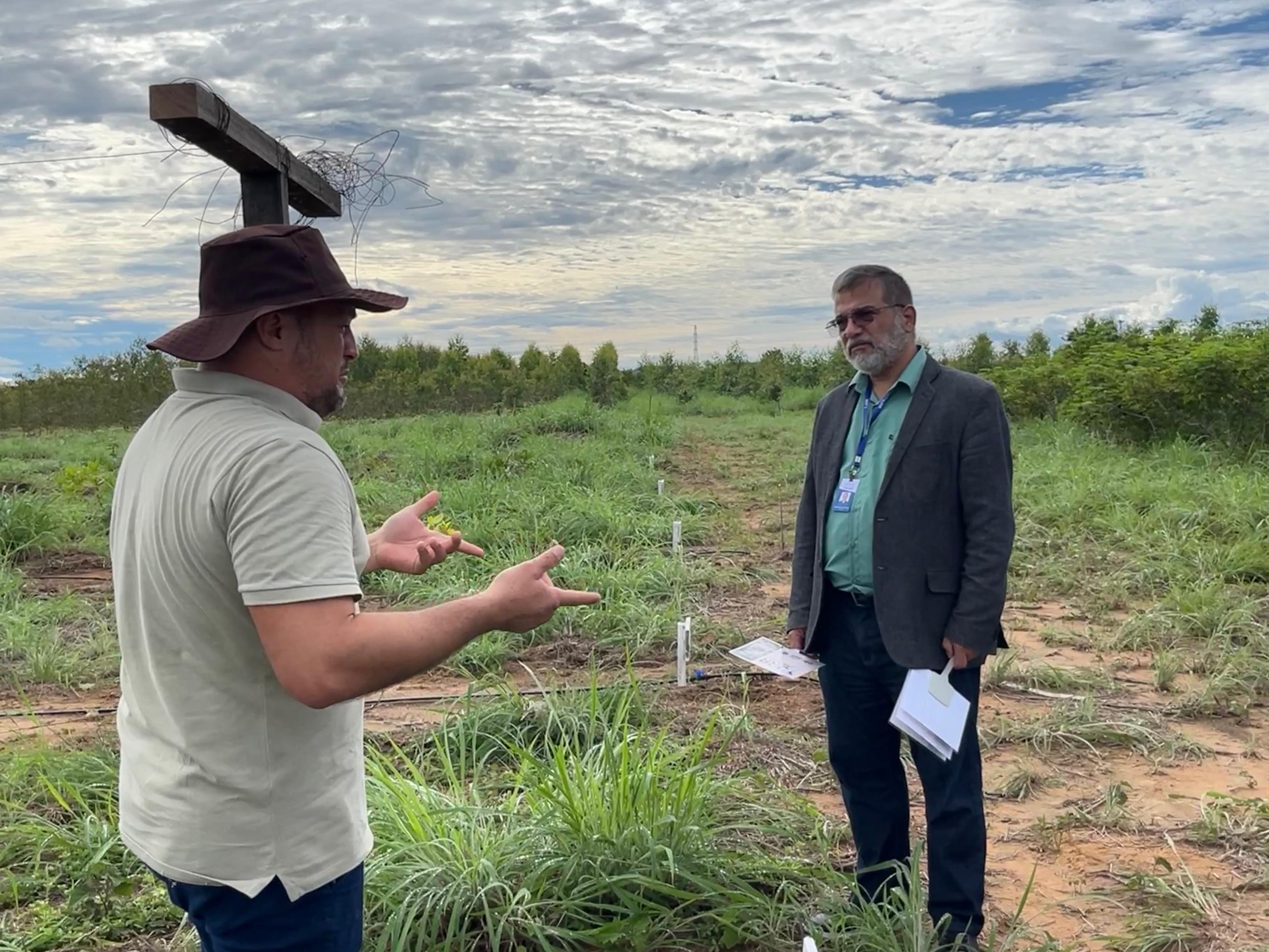 Dois homens conversam em um campo aberto, possivelmente durante uma inspeção de área de plantio. Um deles gesticula enquanto fala, e o outro ouve segurando papéis. Ao fundo, há estacas brancas alinhadas, indicando um projeto de reflorestamento. O céu está nublado. Dois homens conversam em um campo aberto, possivelmente durante uma inspeção de área de plantio. Um deles gesticula enquanto fala, e o outro ouve segurando papéis. Ao fundo, há estacas brancas alinhadas, indicando um projeto de reflorestamento. O céu está nublado.