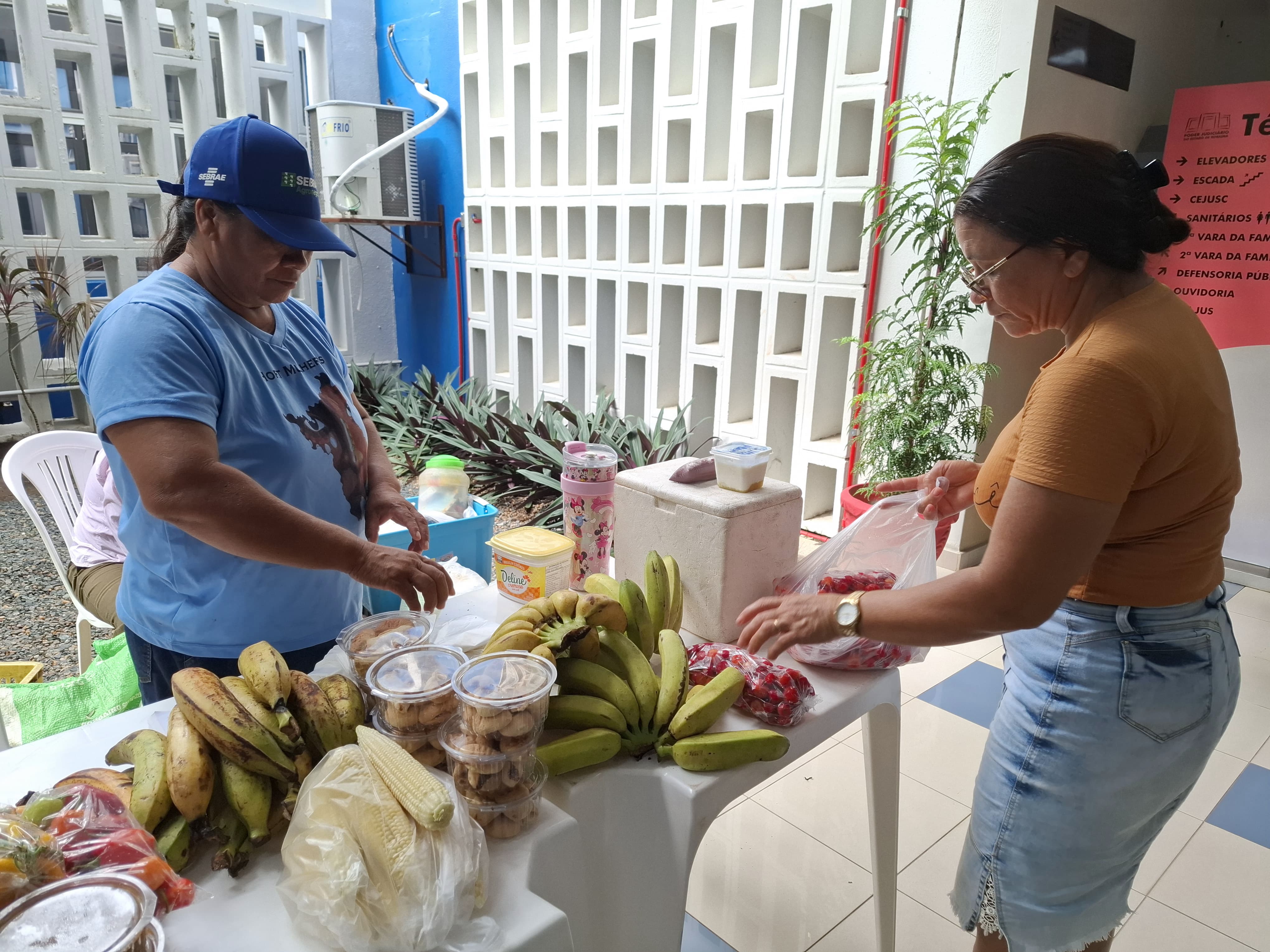 Imagem colorida mostra duas mulheres em uma feira. À esquerda, uma mulher de boné azul e camiseta azul está atrás de uma mesa, manuseando produtos. À direita, outra mulher, vestindo uma camiseta laranja e shorts jeans, está de frente para a mesa, olhando para os produtos. A mesa está repleta de frutas e potes de produtos embalados. Ao fundo, há uma parede com detalhes vazados e vegetação.