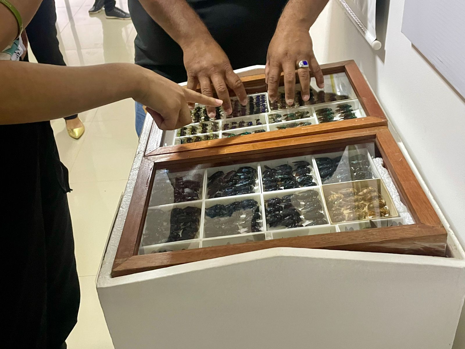 35 anos do ECA – TJRR promove intercâmbio cultural para adolescentes do sistema socioeducativo de Roraima
