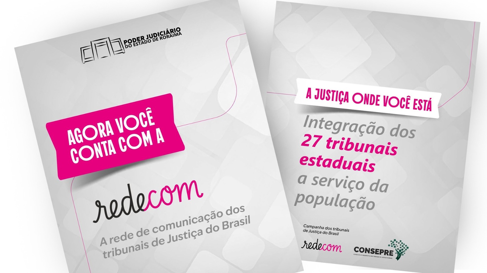 Tribunais estaduais lançam Redecom com campanha nacional do Agosto Lilás
