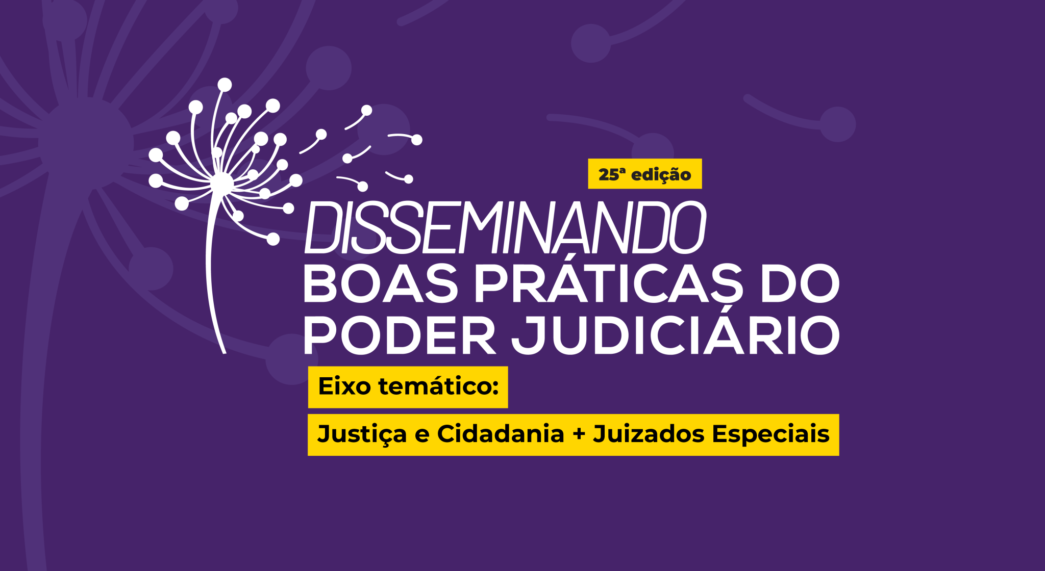 25.ª Edição - Disseminando Boas Práticas do Poder Judiciário