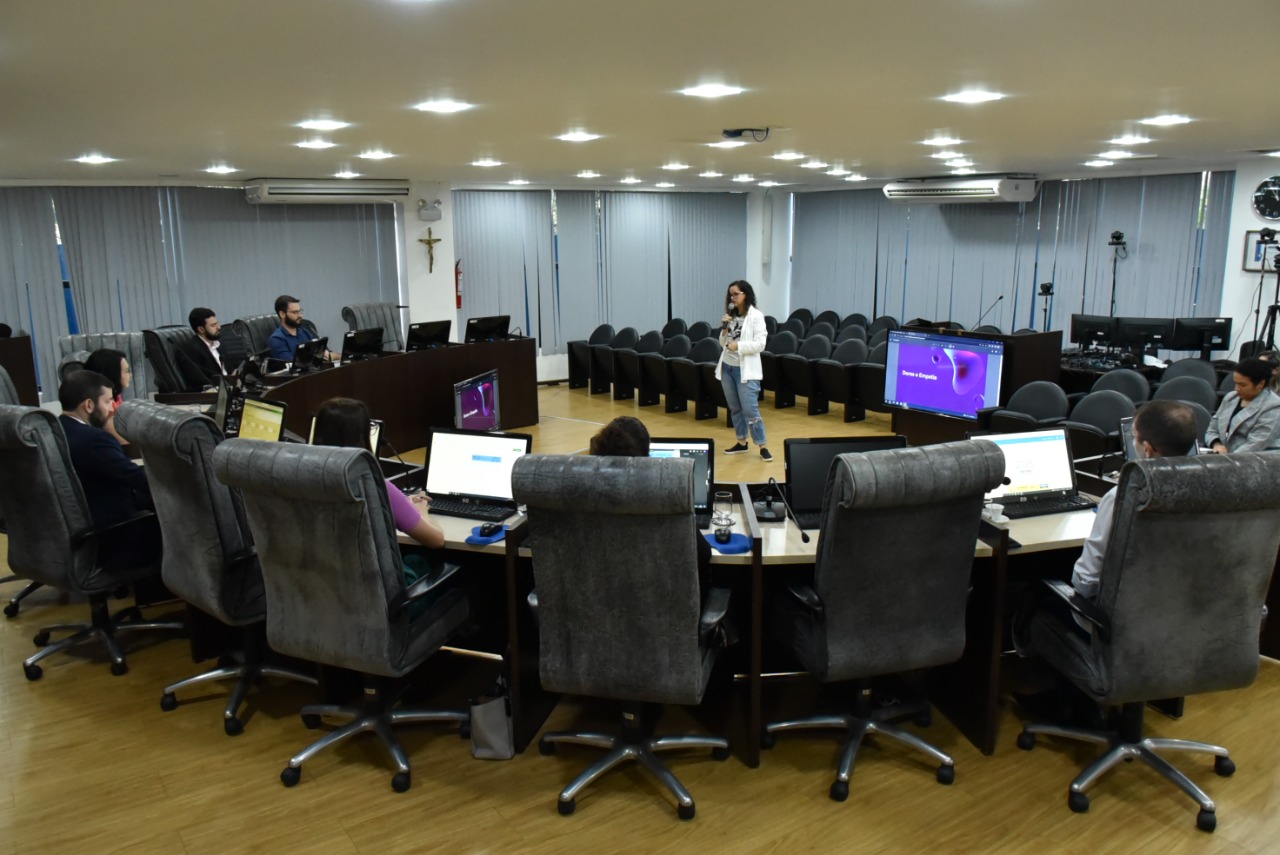 Servidora do TJ, uma mulher jovem de cabelos escuros, trajando jeans, camiseta, tênis e blazer, apresenta  apresenta um projeto, com apoio de dois telões, a 8 jurados sentados no pleno. 