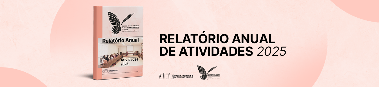 Relatório de Atividades CEVID 2025