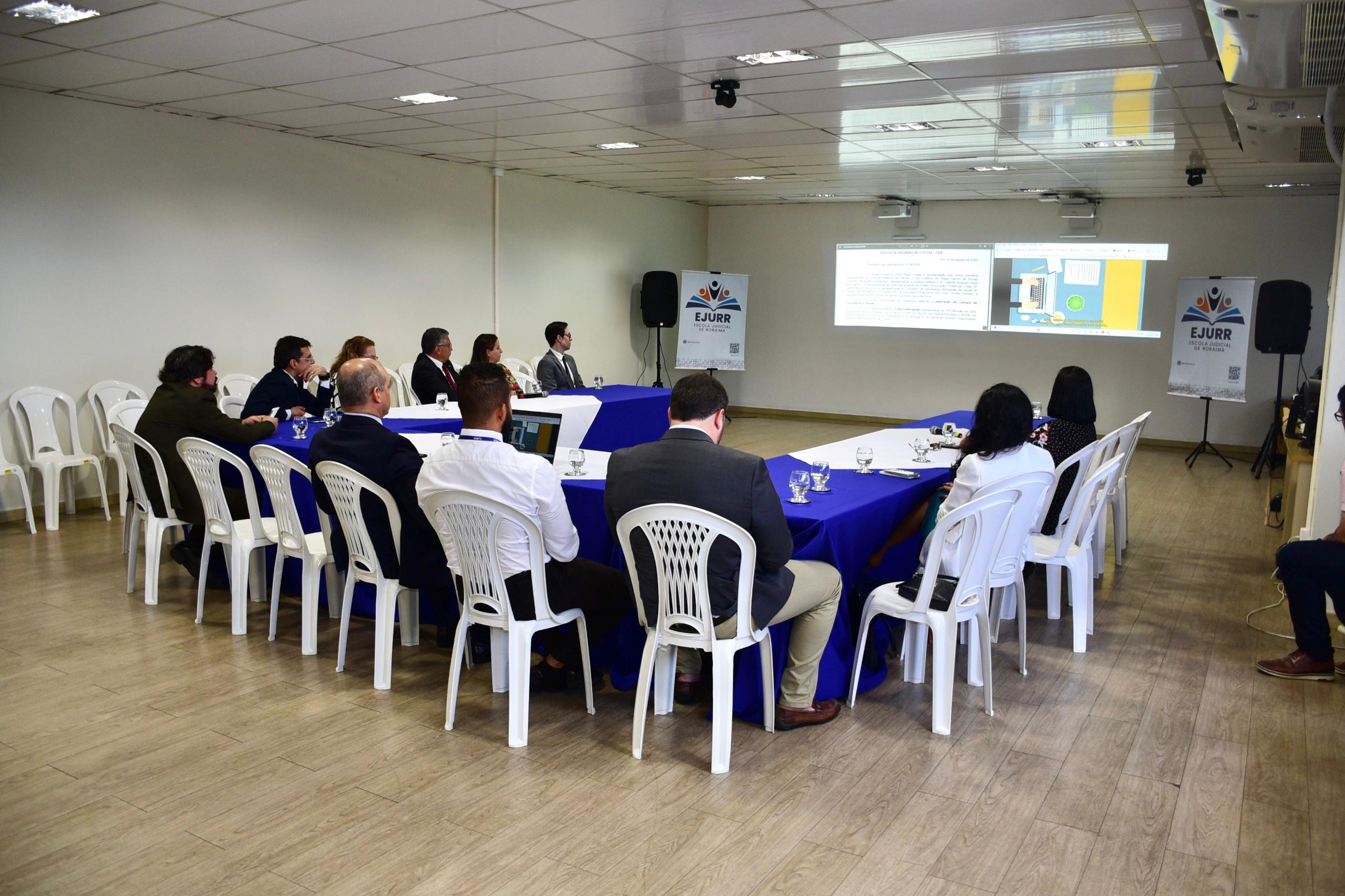 COMITÊ ESTADUAL DE SAÚDE - Fluxos, manuais e plano estadual são aprovados durante reunião  