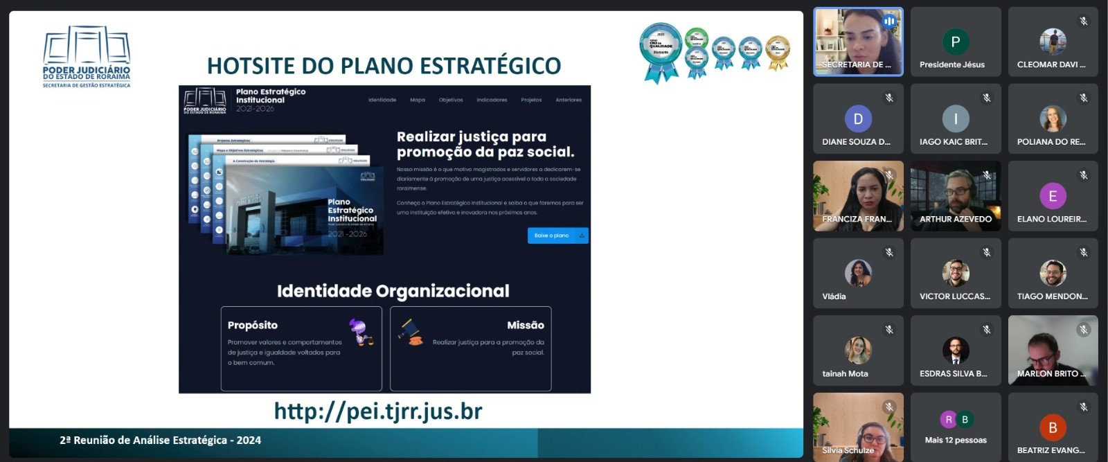 print da reunião online de alinhamento