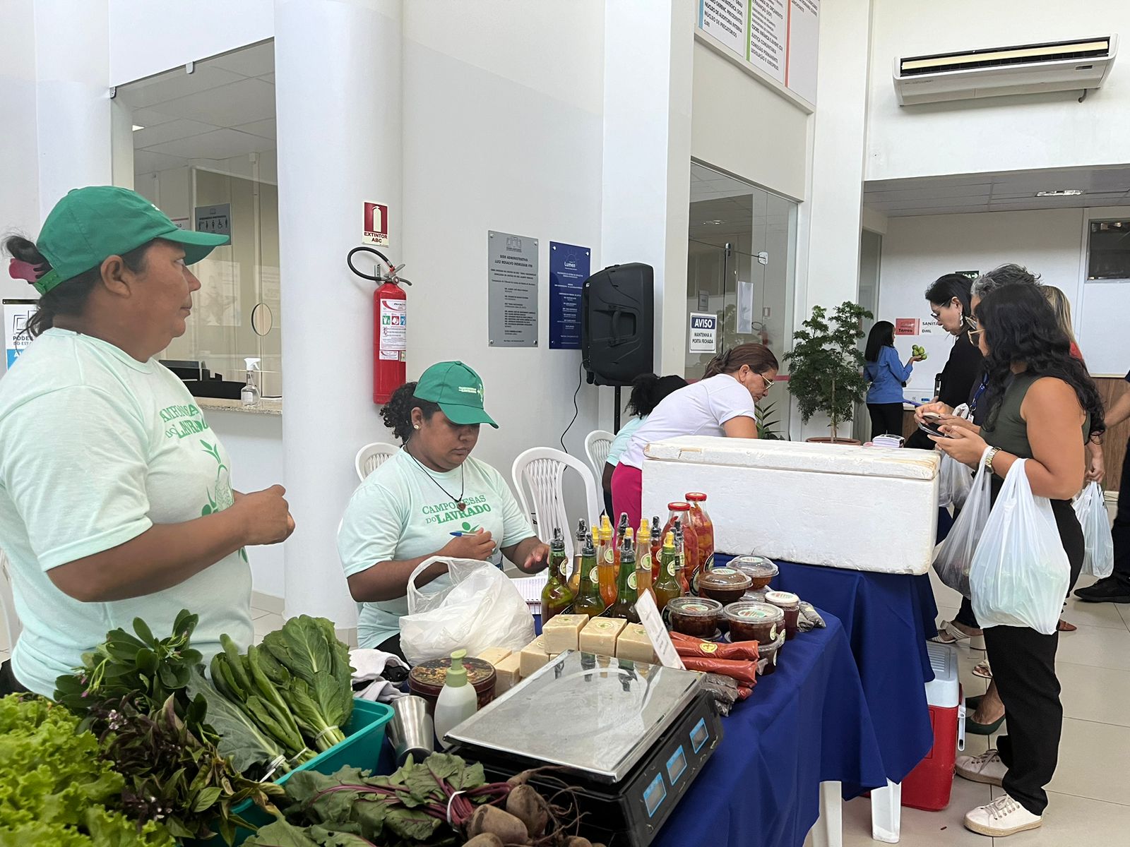 Foto colorida mostra à esquerda duas representantes das Camponesas do Lavrado realizando atendimentos atrás de uma mesa com produtos orgânicos. À direita mostra uma servidora olhando os produtos.
