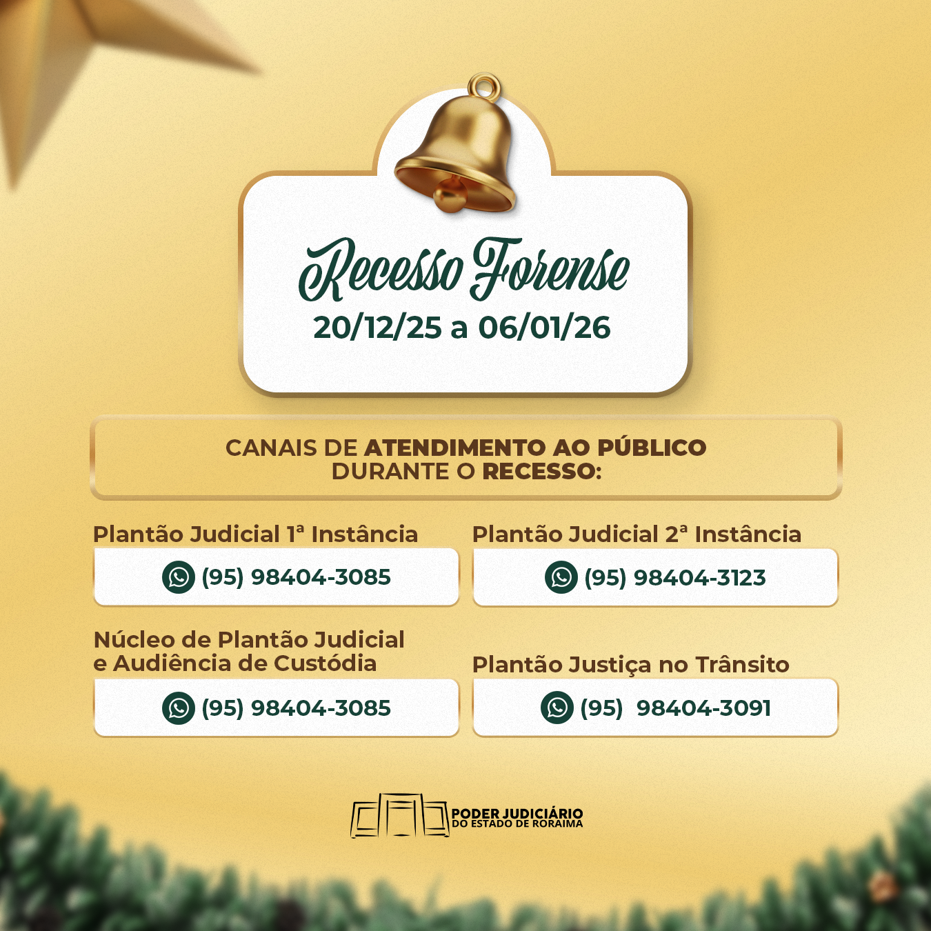 Banner Institucional